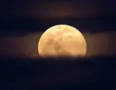 Fenômeno Lua Cheia Rosa poderá ser visto do Brasil nesta terça-feira (23)