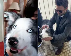 Cachorro Messi, estrela de Anatomia de Uma Queda, vai entrevistar famosos no Festival de Cannes