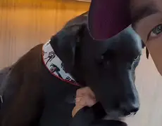 Pedro Scooby adota Eldorado, cachorro resgatado em enchente no RS