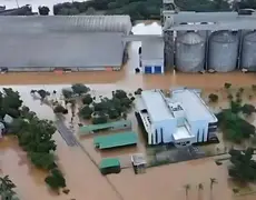 Catástrofe Agrícola no RS: Dilúvio destrói galpão com 100 Mil toneladas de soja