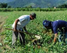 Agro apresenta perda de quase 30 mil vagas de trabalho em novembro