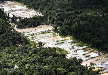 Força-tarefa destrói dez garimpos ilegais na Amazônia