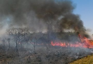 Amazônia e Cerrado tiveram a maior onda de incêndios em junho nos últimos 16 anos, alerta INPE