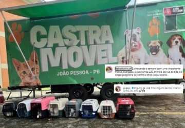  Diretoria de Bem-Estar Animal e vereador Guga comemoram a marca de 200 castrações de animais em situação de rua em João Pessoa