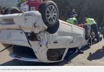 Motorista tenta matar aranha, mas perde controle de carro e capota em rodovia de SC