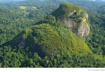 Helicóptero desaparecido na Amazônia é encontrado com todos os tripulantes vivos