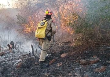 Sertão em chamas: bombeiros fazem força-tarefa para conter incêndio em área de reserva