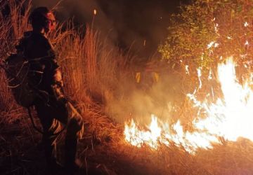 Combate a incêndio em Parque Estadual da Paraíba completa 8 dias