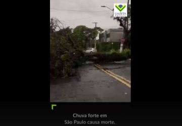 VÍDEO: Chuva forte em São Paulo causa morte, quedas de árvores e falta de luz