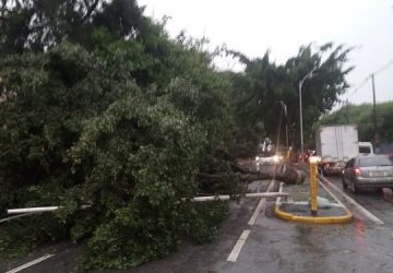 Chuvas em SP: número de mortos sobe para 7