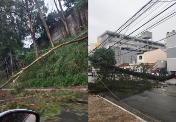 CPI da Enel quer convocar diretor-presidente para esclarecer apagão