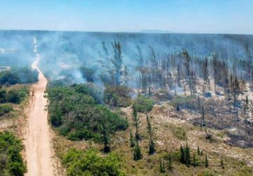 Incêndio de grandes proporções atinge Parque da Restinga da Massambaba, em Arraial do Cabo