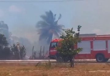 Incêndio às margens da PB-008 mobiliza bombeiros em João Pessoa