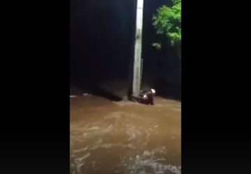 Vídeo mostra equipe de resgate se agarrando a poste de luz em meio à correnteza no Rio Grande do Sul