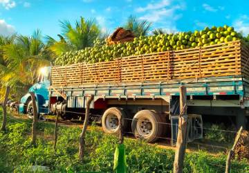 Agroindústria do Alto Sertão paraibano aumenta faturamento em 37%, após inovações e boas práticas ambientais