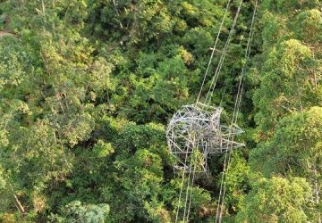 Queda de eucaliptos deixa cerca de 20% de Cajamar (SP) sem luz