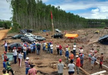 MST alega já ter plantado 25 milhões de árvores nos últimos 4 anos