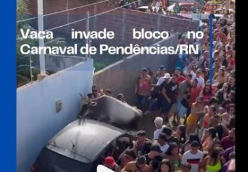 Vaca invade bloco no Carnaval de Pendências/RN