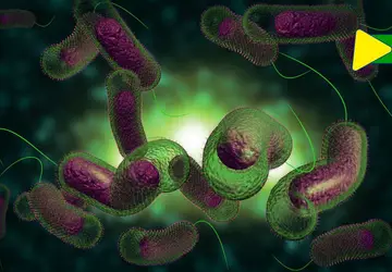 Ministério da Saúde confirma 1º caso de cólera no Brasil após 18 anos