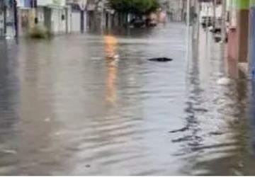 Chuva causa alagamentos em vários bairros do município de Patos, na Paraíba