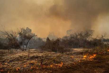 Queimadas no Pantanal tiveram alta de 898% neste ano, revela Inpe