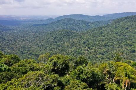 Número de cidades da Amazônia Legal com atuação de facções criminosas salta 46% em 1 ano