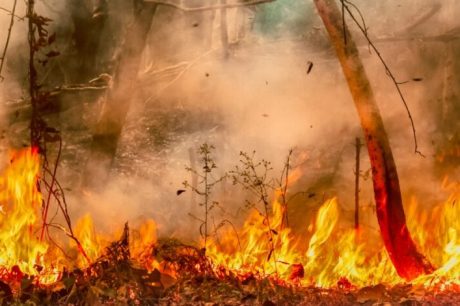 Número de áreas queimadas no Brasil dobra em 2024, com recorde em seis anos