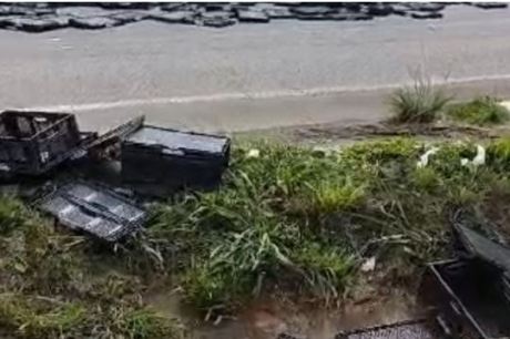 Veículo de carga tomba na BR-101, em Santa Rita